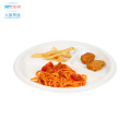 Disposable plastic plate for food